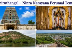 thiruthangal_ninra_narayana_perumal_temple-1